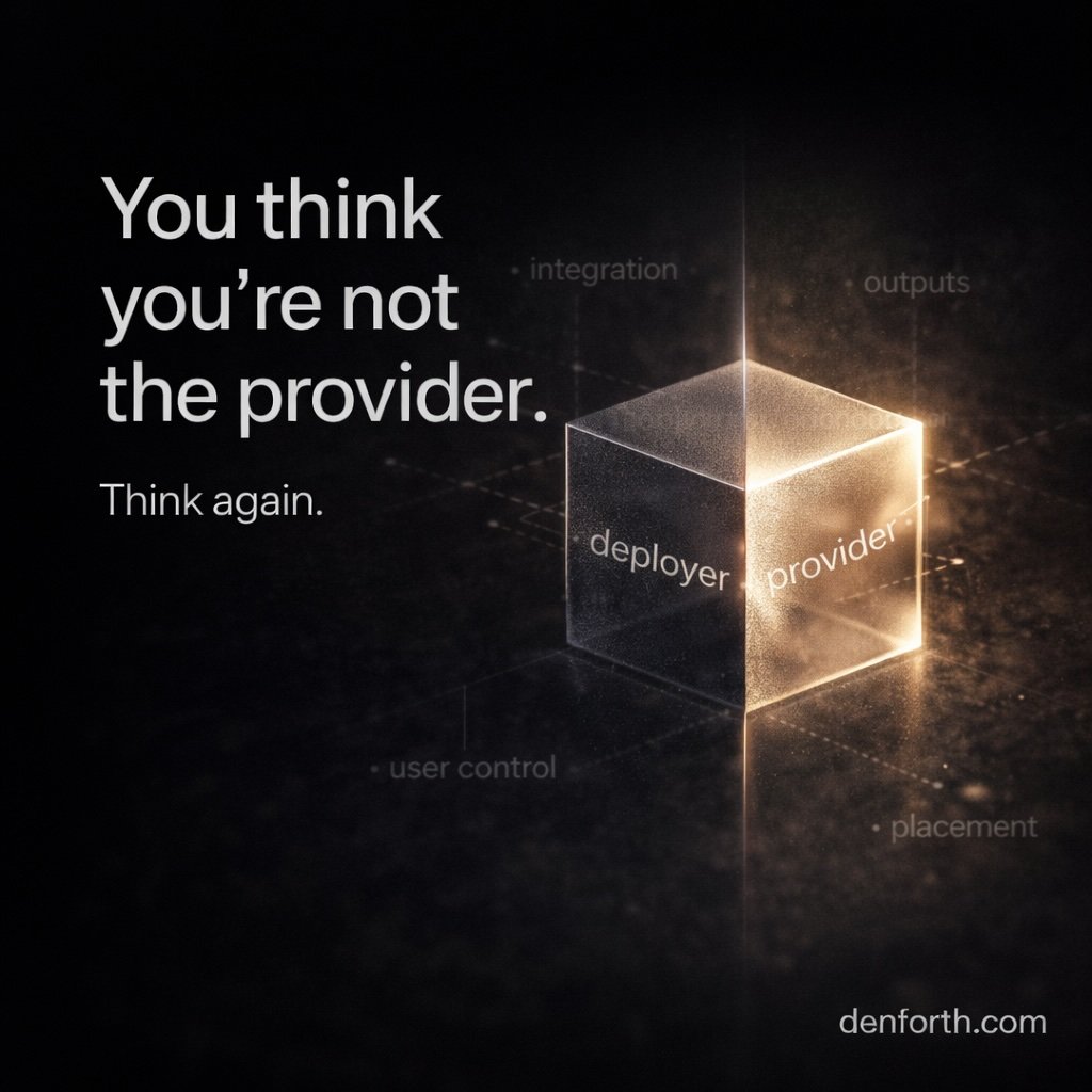 denforth ai provider vs deployer